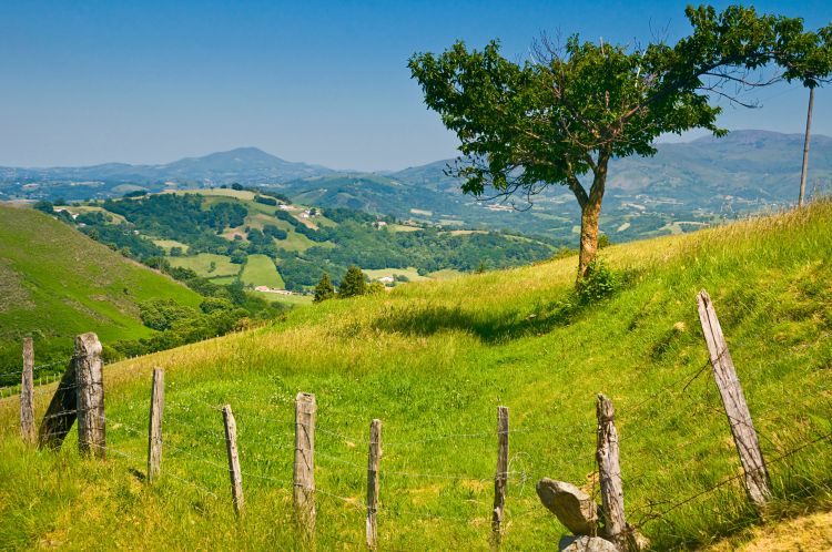 Trouvez votre maison ou appartement dans le Pays Basque avec l'agence AAJ Immobilier !