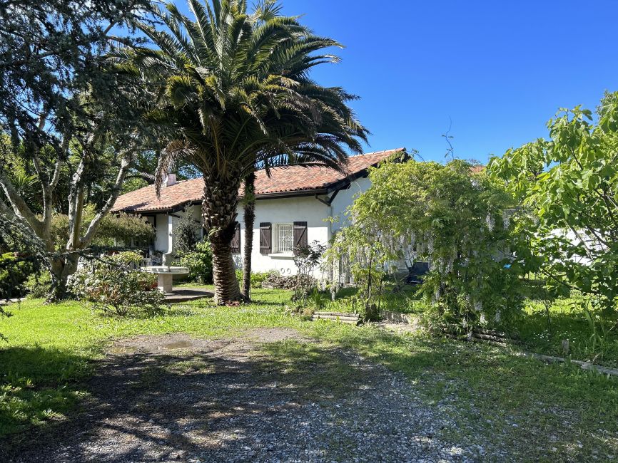 Vente terrain + maison Saint-Jean-de-Luz Pyrénées-Atlantiques